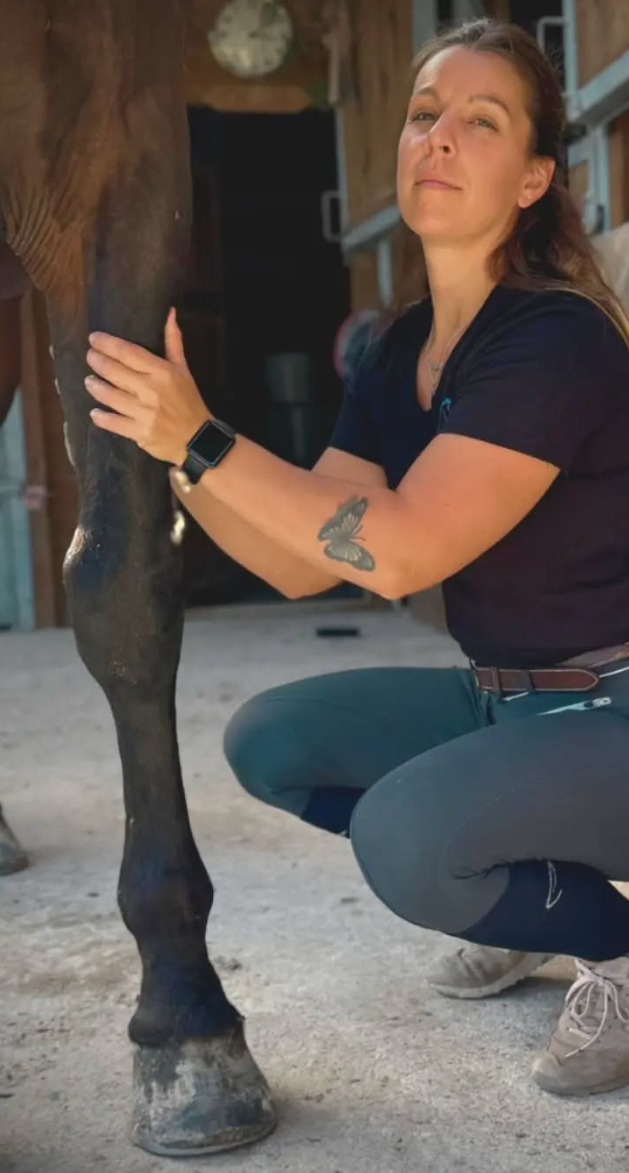 Bien-être équin avec Justine masseuse équine
